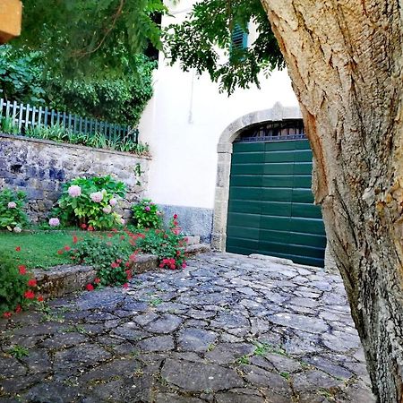 Villa Gioia Montelaterone Екстер'єр фото
