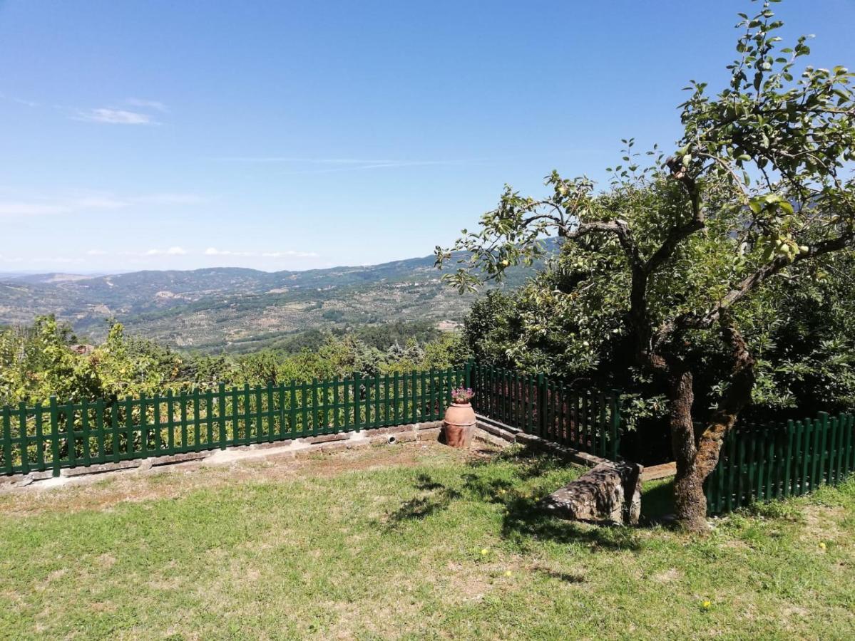 Villa Gioia Montelaterone Екстер'єр фото